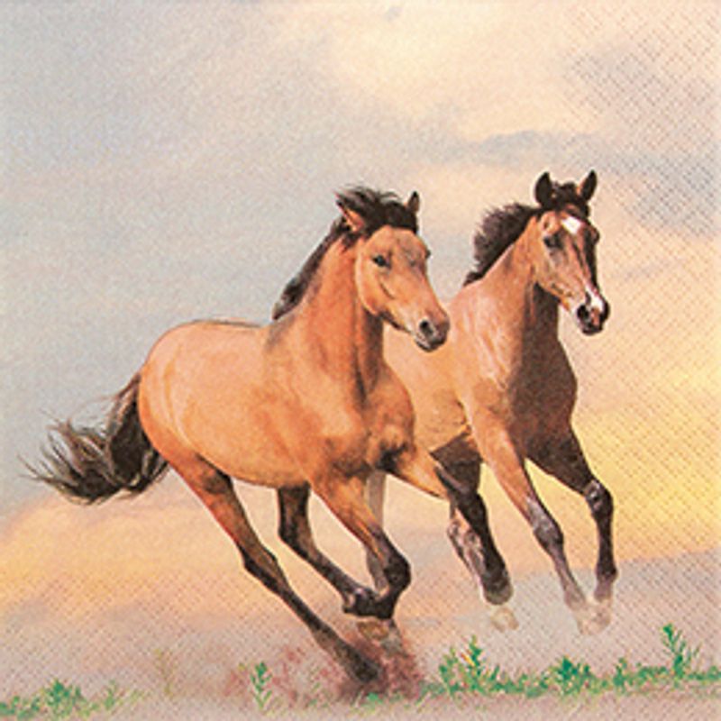 Servietter 20 pk Hester 33x33 cm