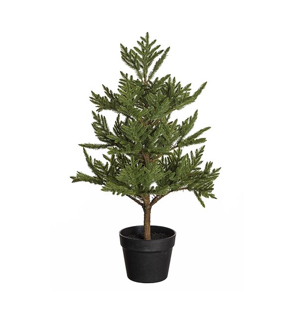 Hovedbilde Gran i potte 70 cm