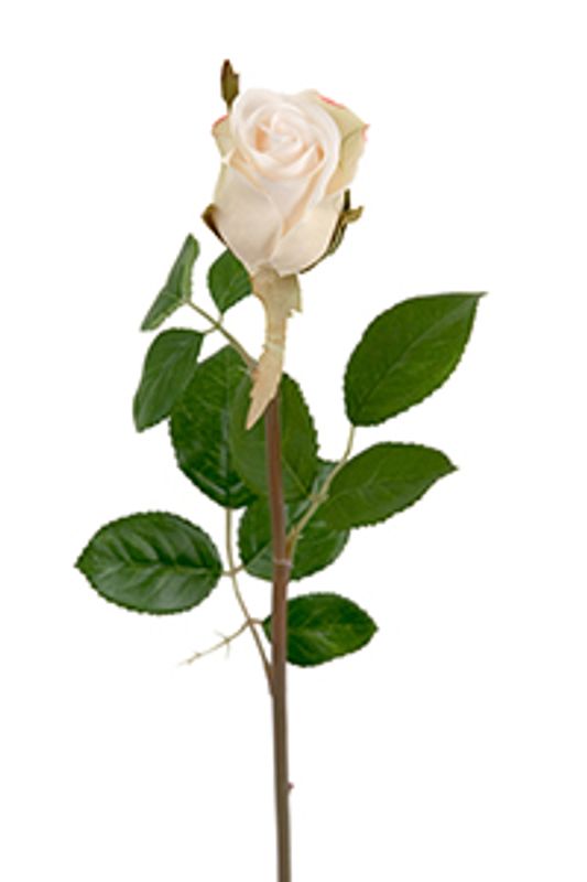Rose stilk hvit 50cm 
