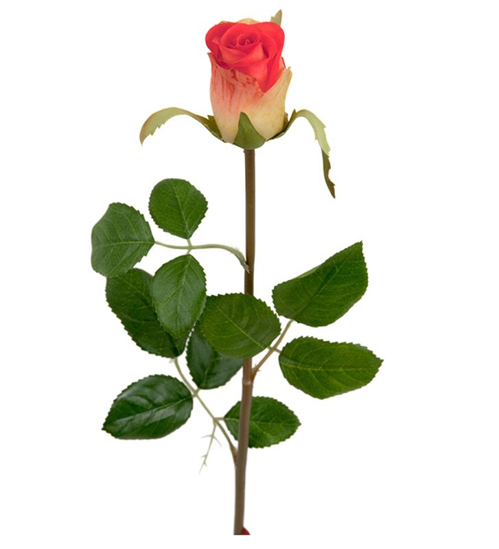 Rose Orange/hvit stilk H 50 cm