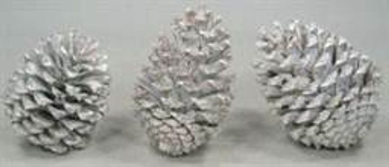 Naturkongle hvitvasket 10/14cm