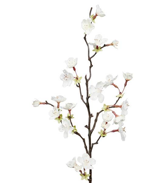 Kirsebærblomst Hvit stilk H 60 cm