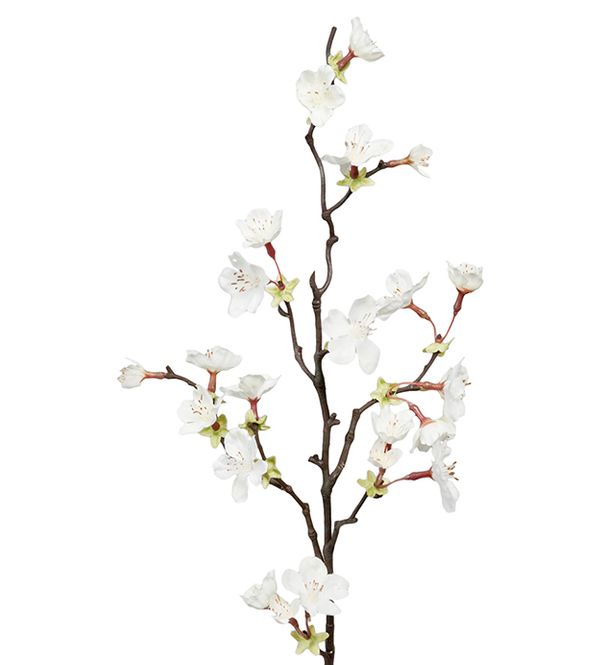 Hovedbilde Kirsebærblomst Hvit stilk H ...