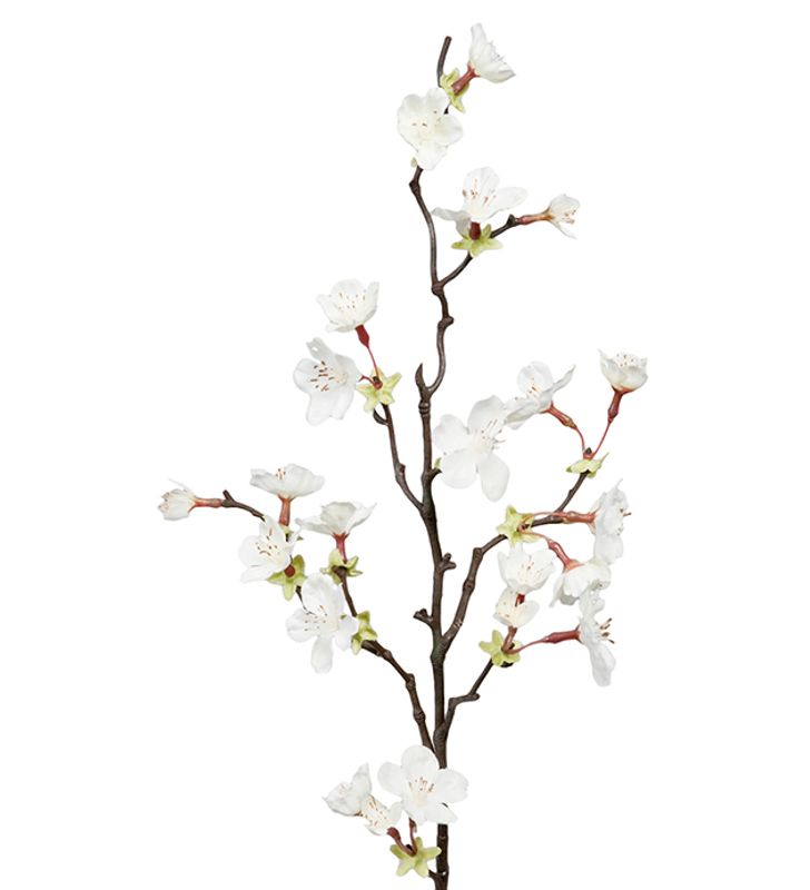 Kirsebærblomst Hvit stilk H 60 cm