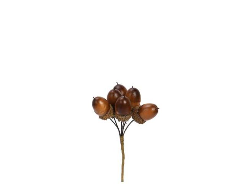 Eikenøtter natur D3 cm 6stk/bunt,