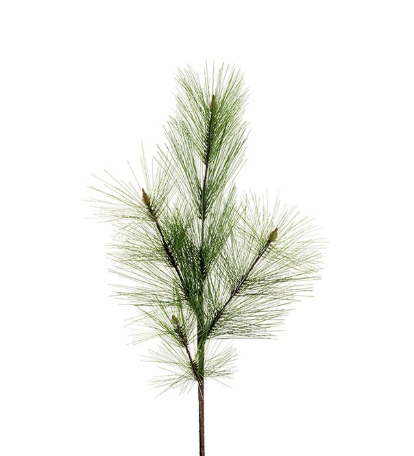 Hovedbilde Furu/stilk H 110 cm