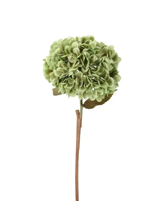 Hortensia på stilk Grønn 20x20x84 cm