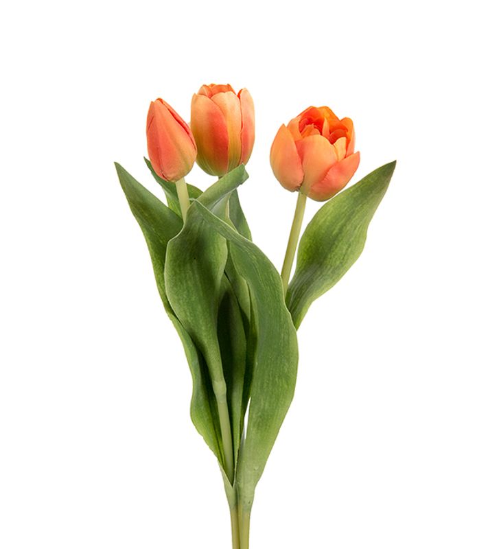Tulipan Orange 36 cm Åpen blomst
