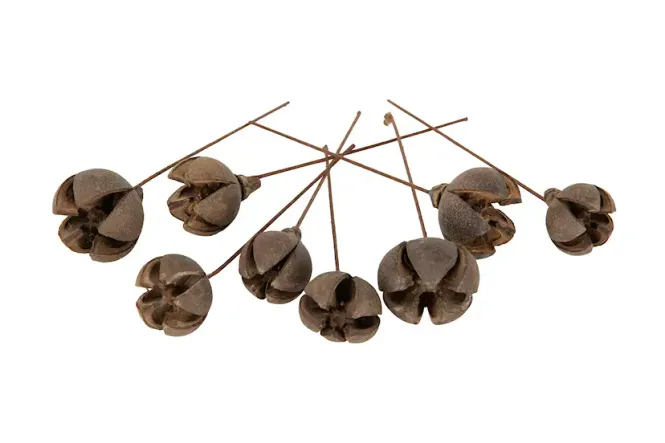 Hovedbilde Shizhi 3 cm på ståltråd ...