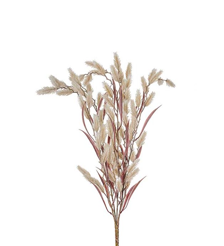 Gras stilk H 50 cm