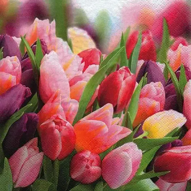 Serviett Tulips 25x25 cm